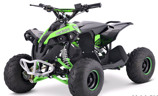 Квадроцикл YACOTA RENEGADE MINI